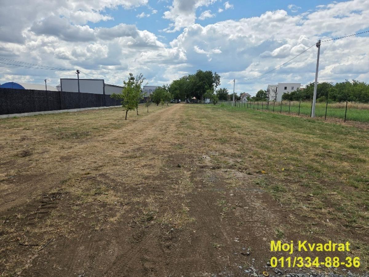actionimagesite31agencykvadratimgra7cmmvxp5-2 Plac za izdavanje, Surčin, Beograd, 25 ari, 3.000 €/mes