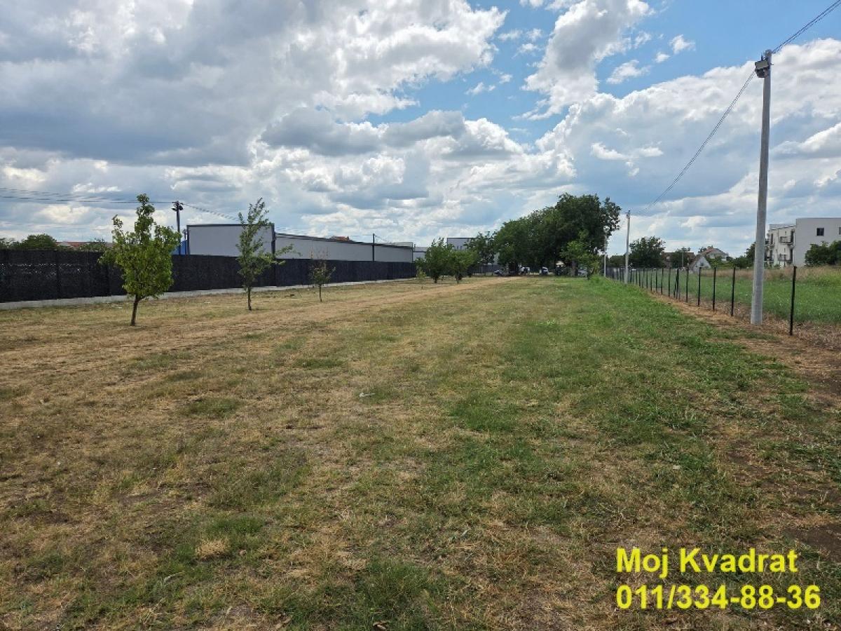 actionimagesite31agencykvadratimgu7xsxuvh3m-3 Plac za izdavanje, Surčin, Beograd, 25 ari, 3.000 €/mes