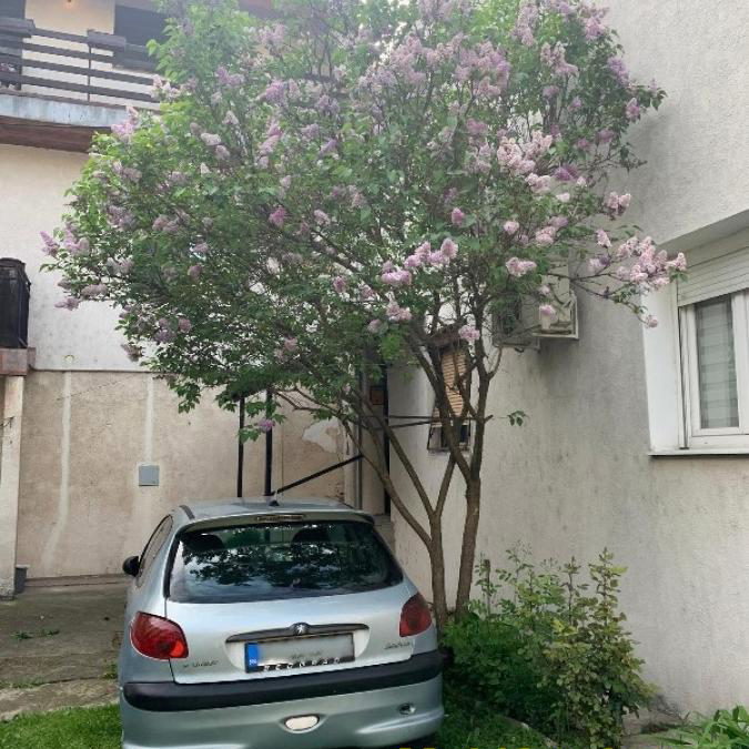 Dvosoban stan na prodaju, Centar, Beograd, 50m², 169.000 €