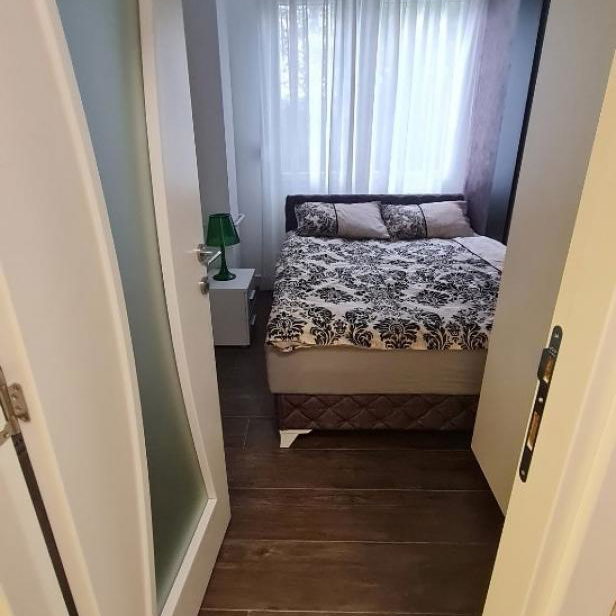 Dvoiposoban stan za izdavanje, Novi Beograd, Beograd, 50m², 900 €/mes