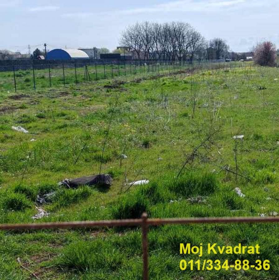 actionimagesite31agencykvadratimgzxruh43vzr-3 Plac za izdavanje, Surčin, Beograd, 57,6 ari, 1.800 €/mes
