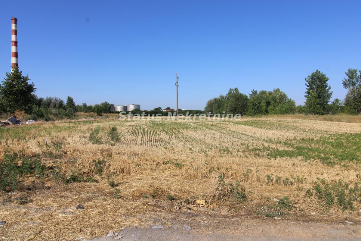 Plac na prodaju, Šangaj, Novi Sad, 63,96 ari, 270.000 €