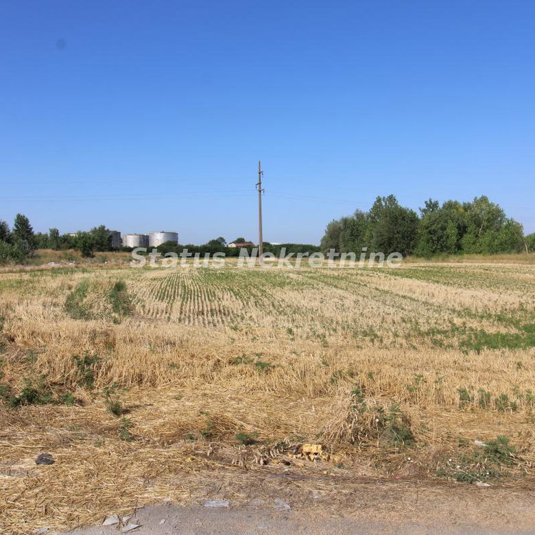 Plac na prodaju, Šangaj, Novi Sad, 63,96 ari, 270.000 €