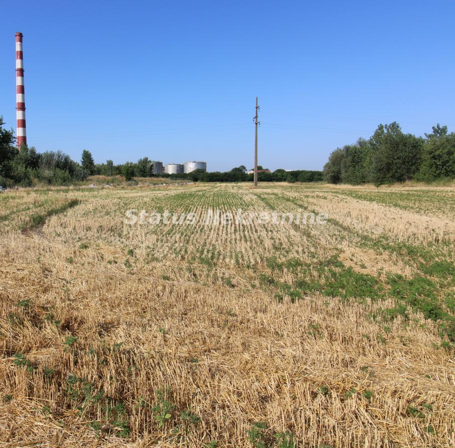 Plac na prodaju, Šangaj, Novi Sad, 63,96 ari, 270.000 €