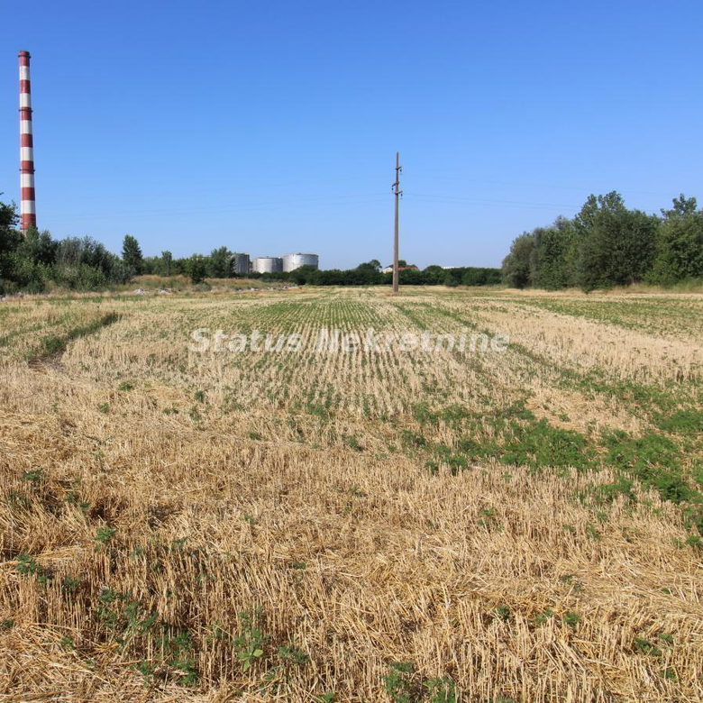 Plac na prodaju, Šangaj, Novi Sad, 63,96 ari, 270.000 €