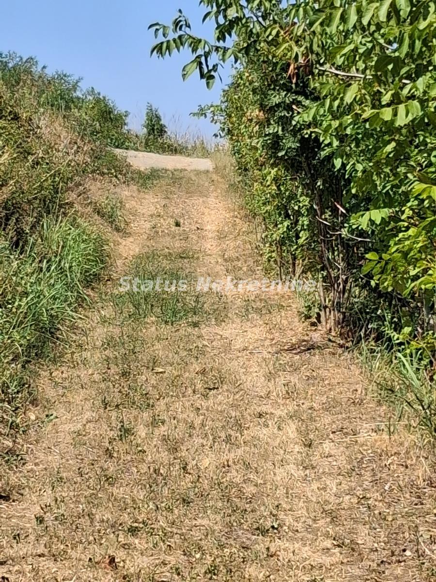 actionimagesite31agencystatusimgbt7hnvj7dp-20260805-141808 Kuća na prodaju, Ledinci, Novi Sad, 30m², 72.100 €