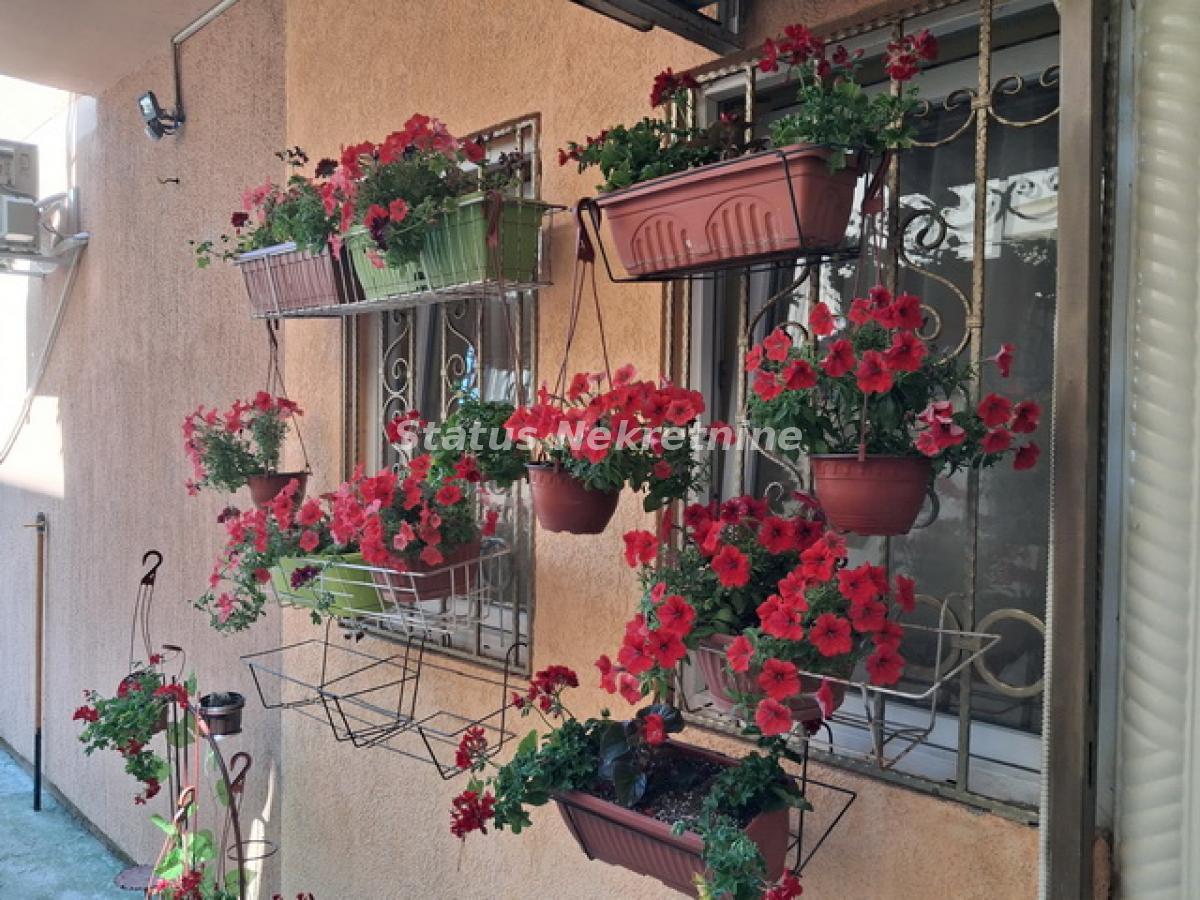Jednosoban stan na prodaju, Telep, Novi Sad, 29m², 61.800 €