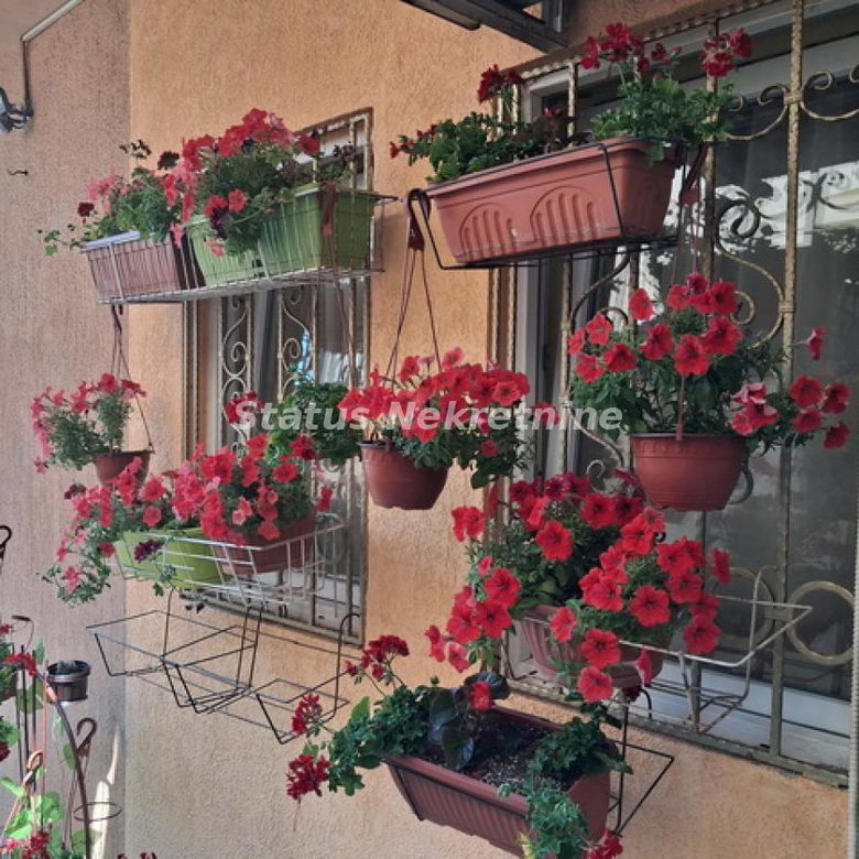 Jednosoban stan na prodaju, Telep, Novi Sad, 29m², 61.800 €