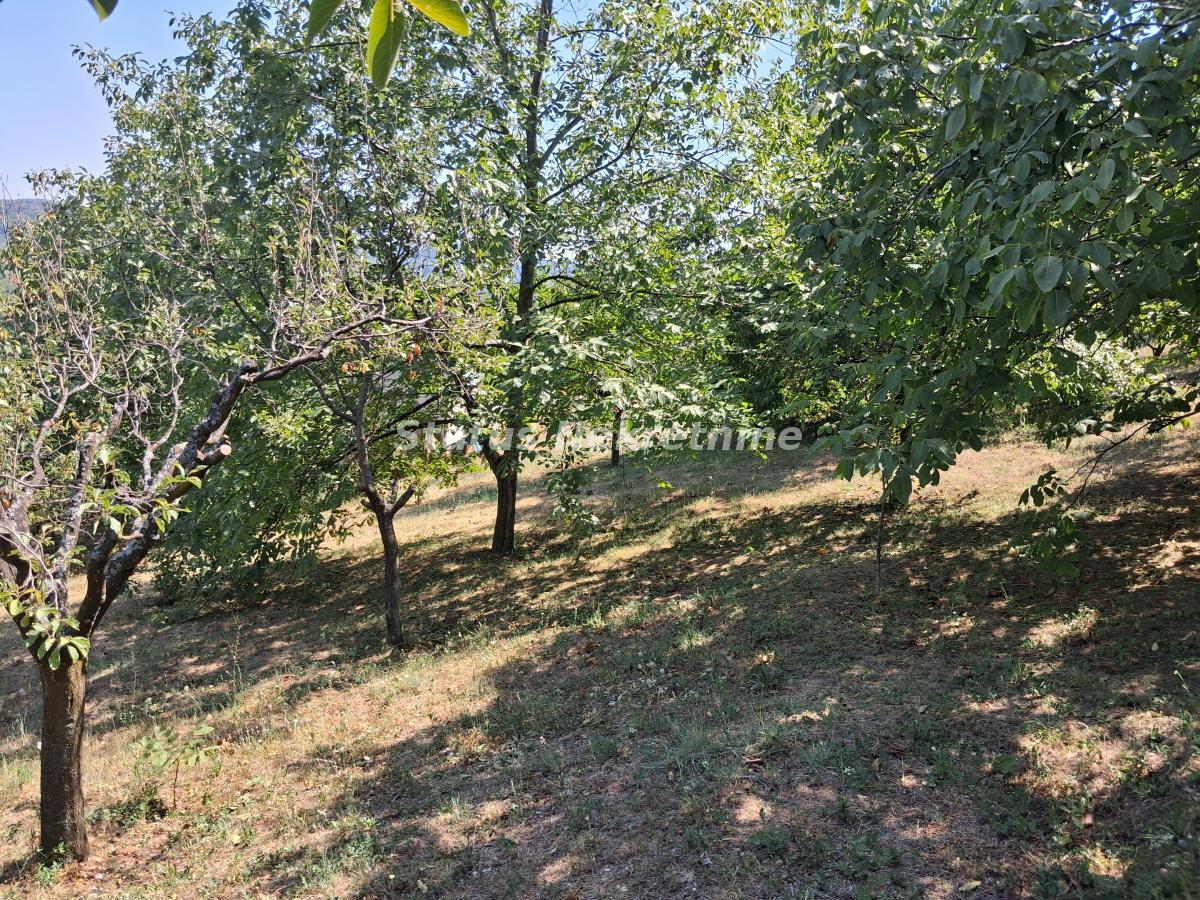 actionimagesite31agencystatusimgei4jm6qvef-20260805-141559 Kuća na prodaju, Ledinci, Novi Sad, 30m², 72.100 €