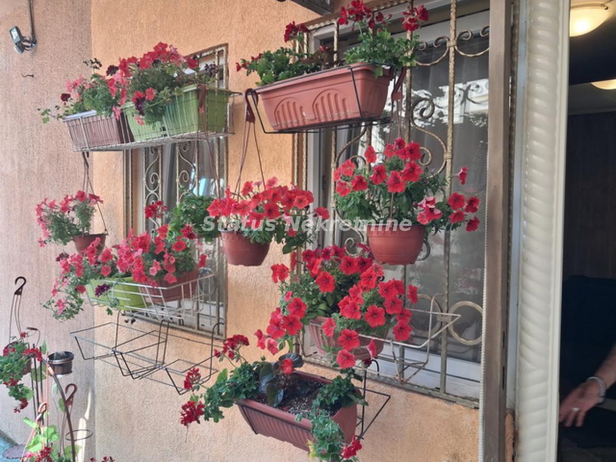 Jednosoban stan na prodaju, Telep, Novi Sad, 29m², 61.800 €