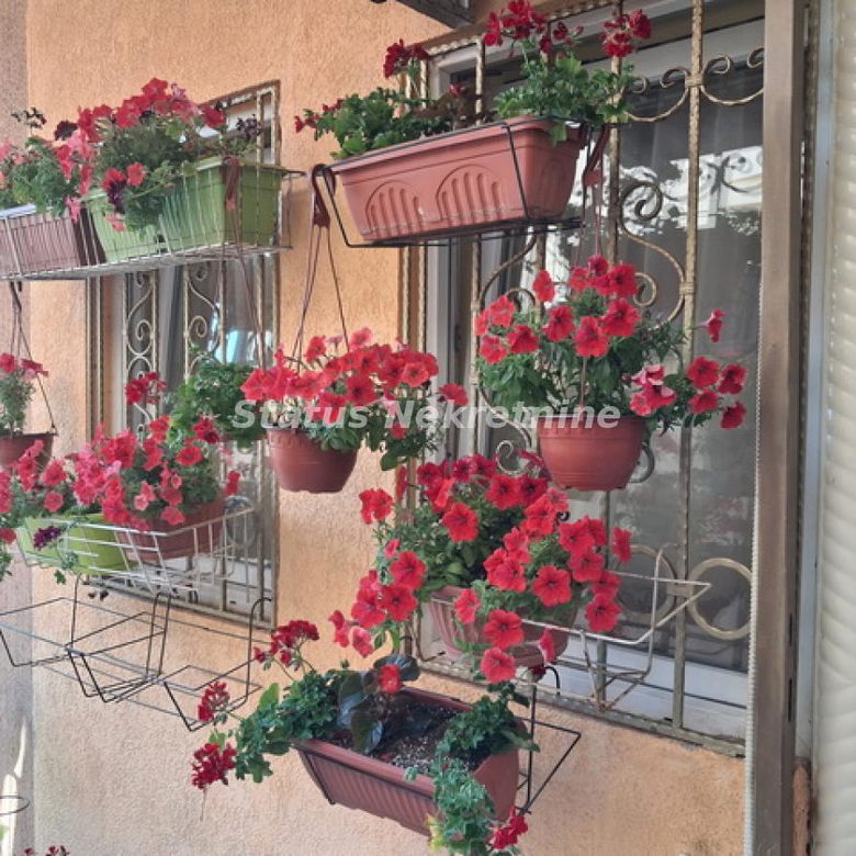 Jednosoban stan na prodaju, Telep, Novi Sad, 29m², 61.800 €