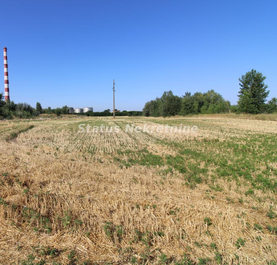 Plac na prodaju, Šangaj, Novi Sad, 63,96 ari, 270.000 €