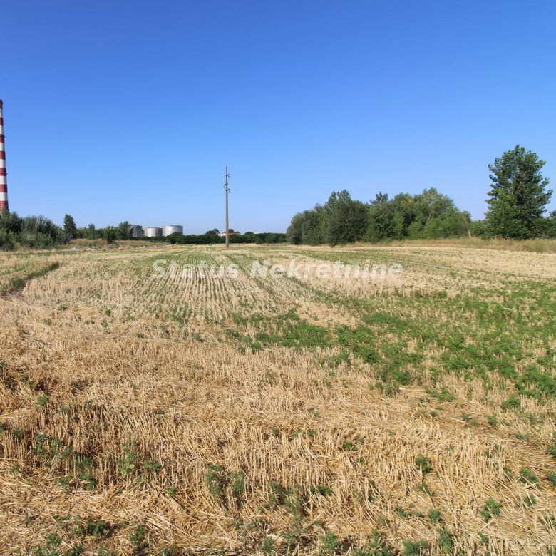 Plac na prodaju, Šangaj, Novi Sad, 63,96 ari, 270.000 €