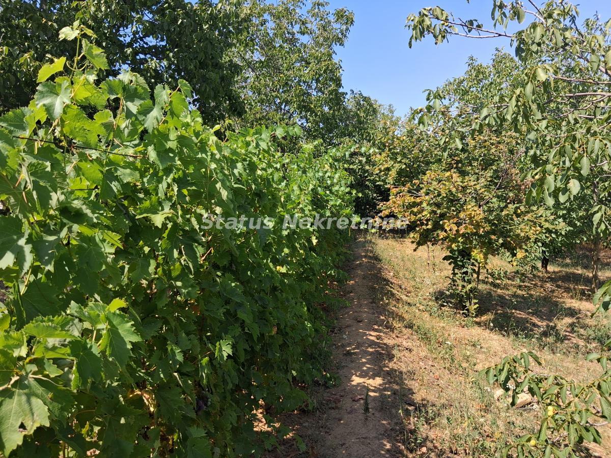 actionimagesite31agencystatusimgr5wudi2g6i-20260805-141401 Kuća na prodaju, Ledinci, Novi Sad, 30m², 72.100 €