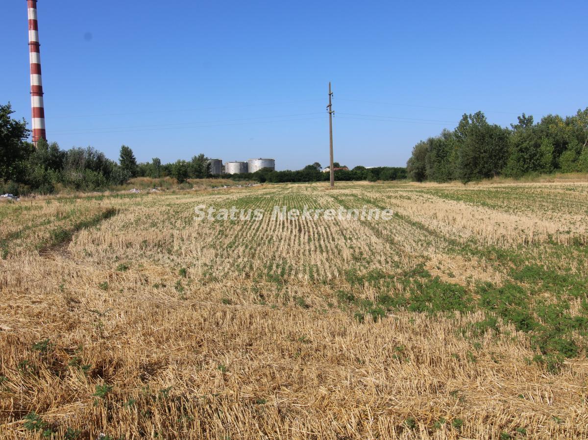 Plac na prodaju, Šangaj, Novi Sad, 63,96 ari, 270.000 €