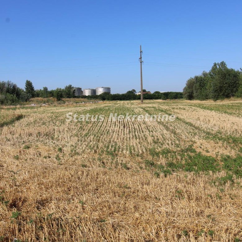 Plac na prodaju, Šangaj, Novi Sad, 63,96 ari, 270.000 €