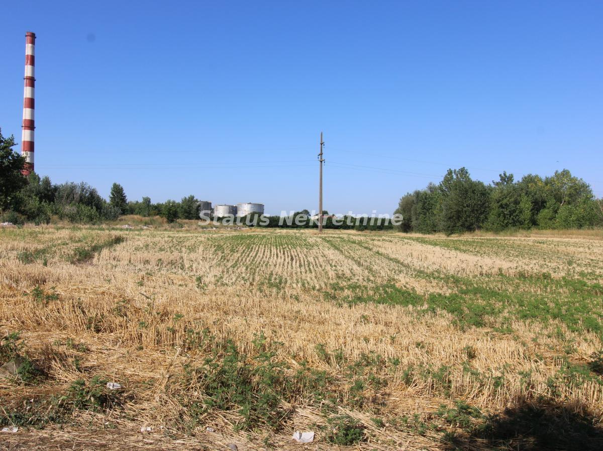 Plac na prodaju, Šangaj, Novi Sad, 63,96 ari, 270.000 €
