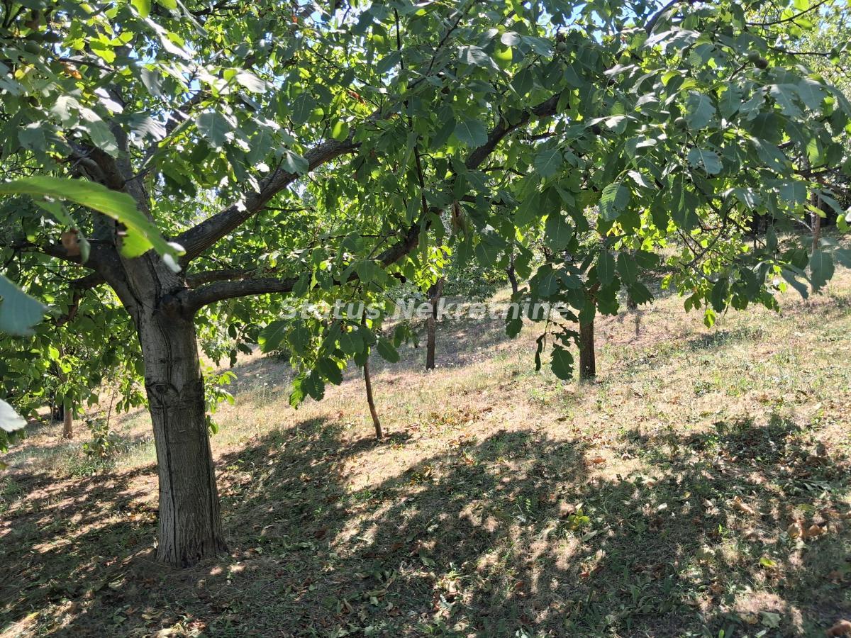 actionimagesite31agencystatusimgt4rbvw8j5q-20260805-141523 Kuća na prodaju, Ledinci, Novi Sad, 30m², 72.100 €