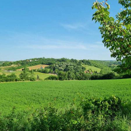 Plac na prodaju, Sremski Karlovci, 84 ari, 430.000 €