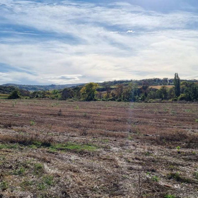 Plac na prodaju, Sremski Karlovci, 234 ari, 723.000 €