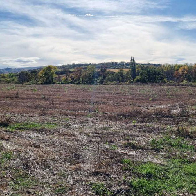 Plac na prodaju, Sremski Karlovci, 234 ari, 723.000 €