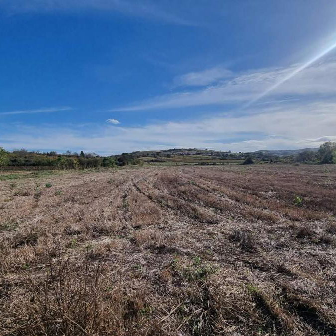 Plac na prodaju, Sremski Karlovci, 234 ari, 723.000 €