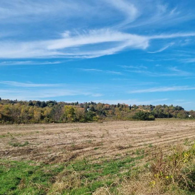 Plac na prodaju, Sremski Karlovci, 234 ari, 723.000 €