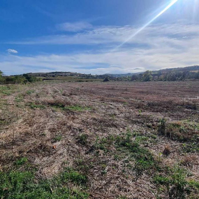 Plac na prodaju, Sremski Karlovci, 234 ari, 723.000 €