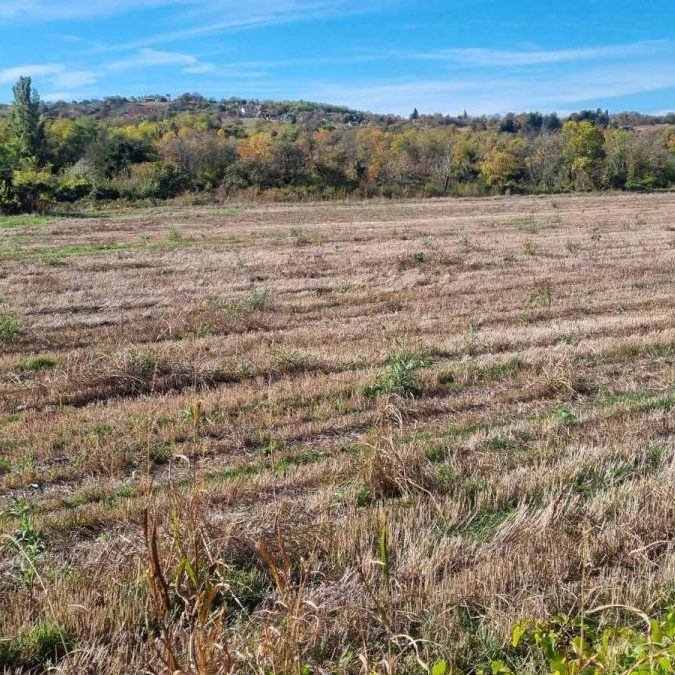 Plac na prodaju, Sremski Karlovci, 234 ari, 723.000 €