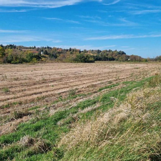 Plac na prodaju, Sremski Karlovci, 234 ari, 723.000 €
