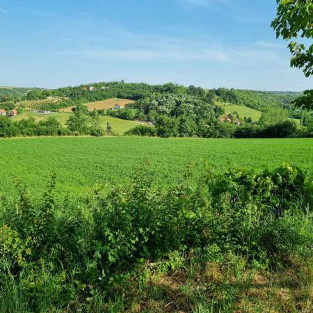 Plac na prodaju, Sremski Karlovci, 84 ari, 430.000 €