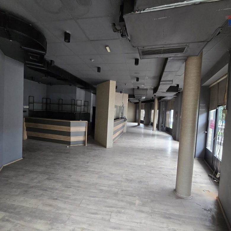 Lokal za izdavanje, Železnička Stanica, Novi Sad, 246m², 3.000 €/mes
