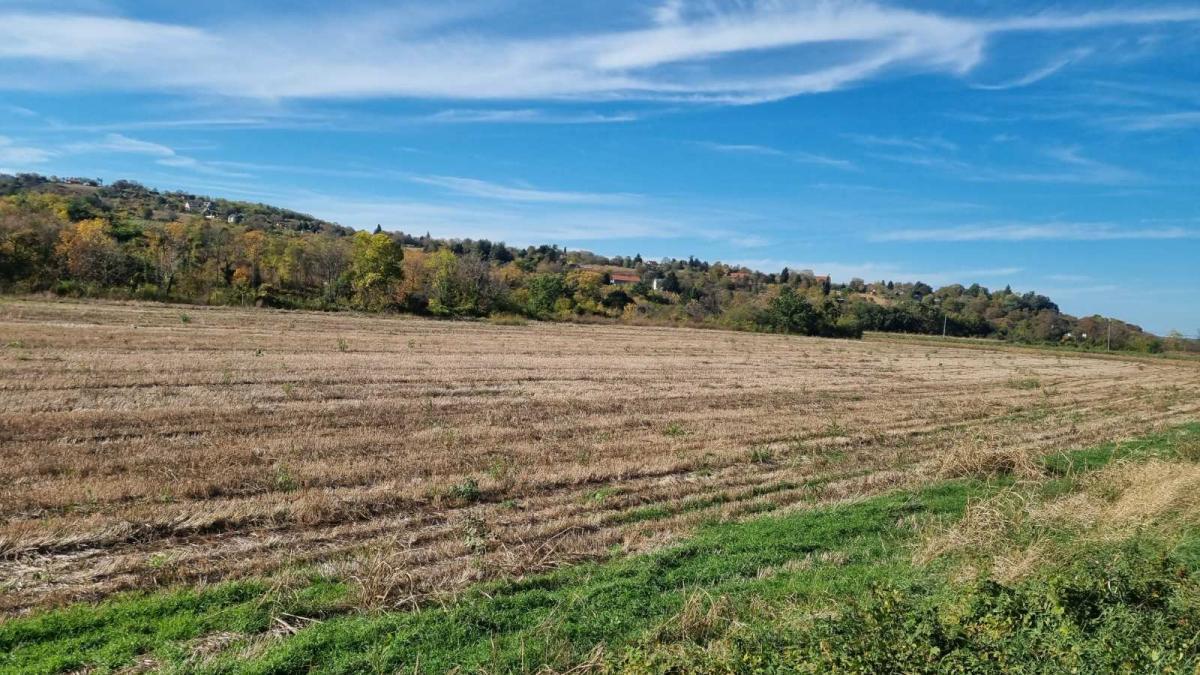 actionimagesite40agencyanekretnineimgwfzmbwe804-00 Plac na prodaju, Sremski Karlovci, 234 ari, 723.000 €