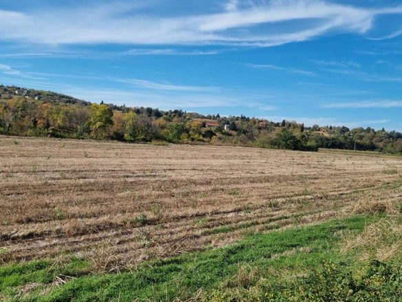 Plac na prodaju, Sremski Karlovci, 234 ari, 723.000 €