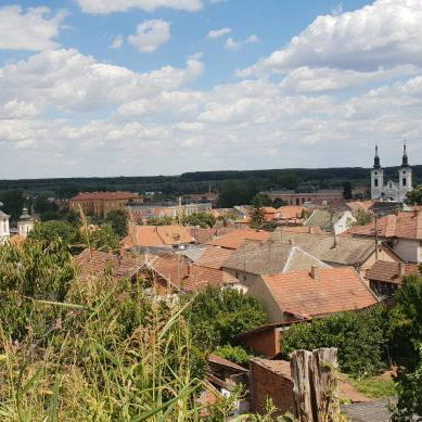 Plac na prodaju, Centar, Sremski Karlovci, 1134m², 445.000 €