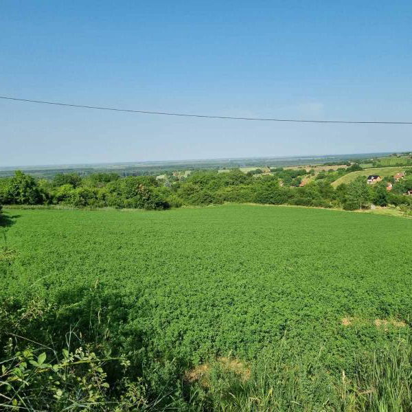 Plac na prodaju, Sremski Karlovci, 84 ari, 430.000 €