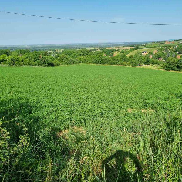 Plac na prodaju, Sremski Karlovci, 84 ari, 430.000 €