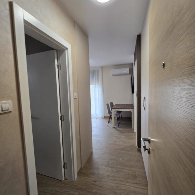 Jednoiposoban stan za izdavanje, Sremska Kamenica, Novi Sad, 30m², 350 €/mes