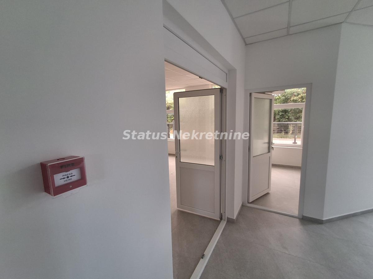 Lokal Izdavanje Novi Sad  196 m2