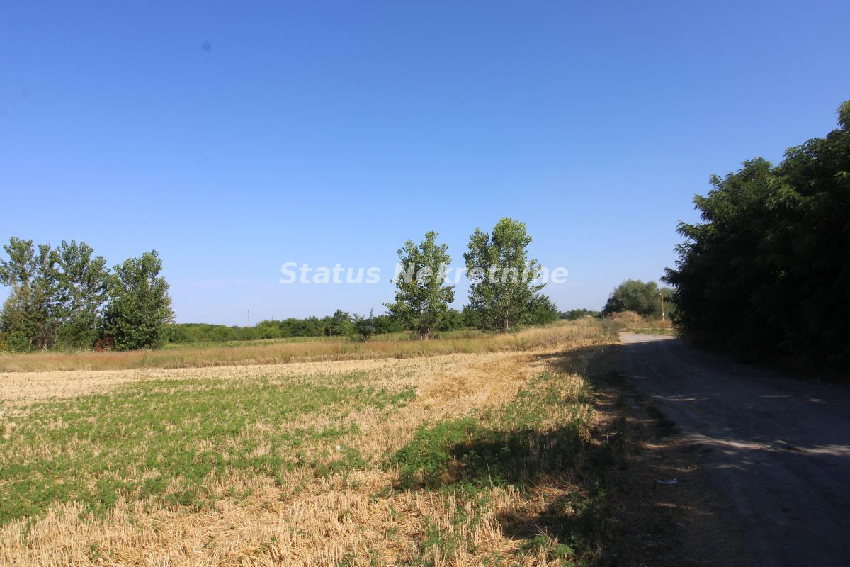 Plac Prodaja Novi Sad  0 m2