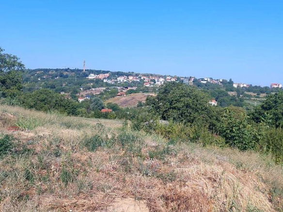 Plac Prodaja Novi Sad Alibegovac 1430 m2