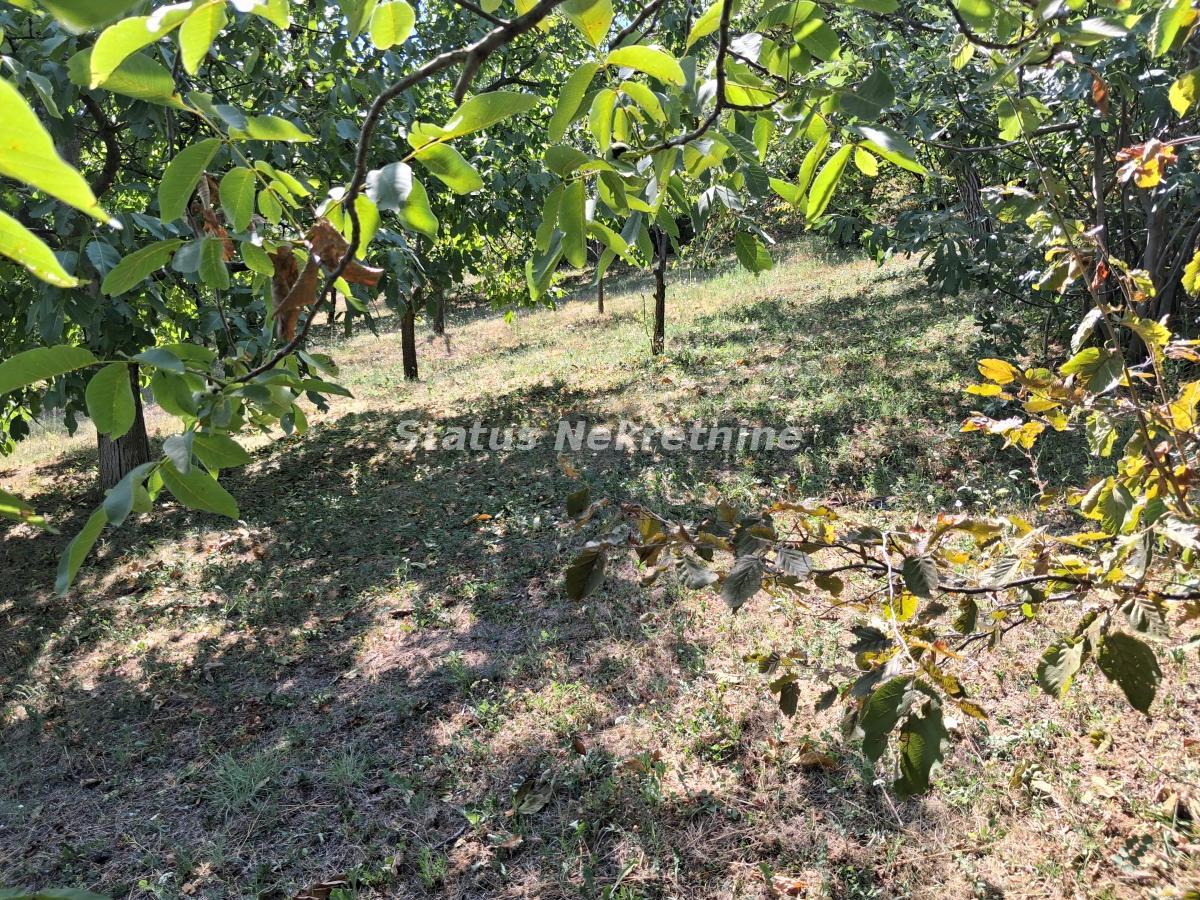 Kuća Prodaja Novi Sad Kuća Prodaja Novi Sad 30 m2