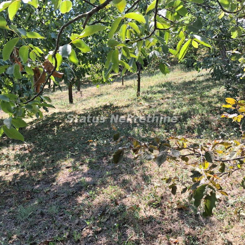 Kuća Prodaja Novi Sad  30 m2