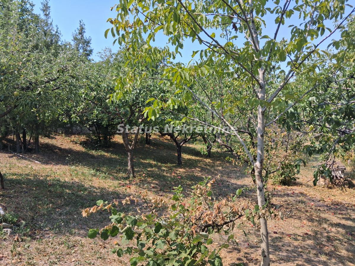 Kuća Prodaja Novi Sad Kuća Prodaja Novi Sad 30 m2