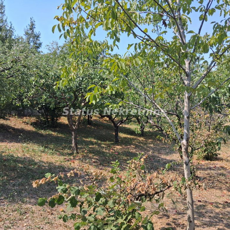 Kuća Prodaja Novi Sad  30 m2