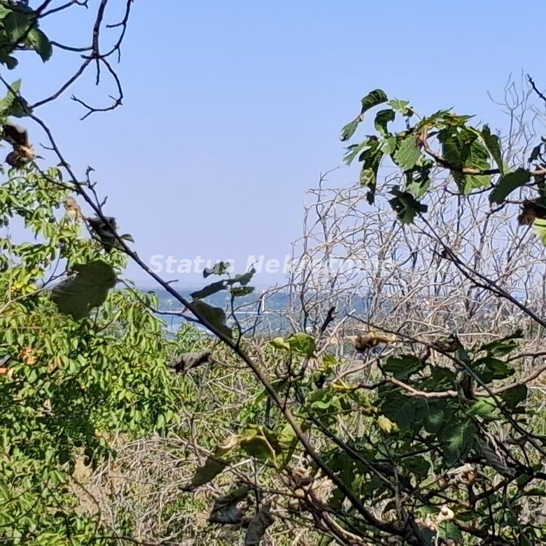 Kuća Prodaja Novi Sad  30 m2