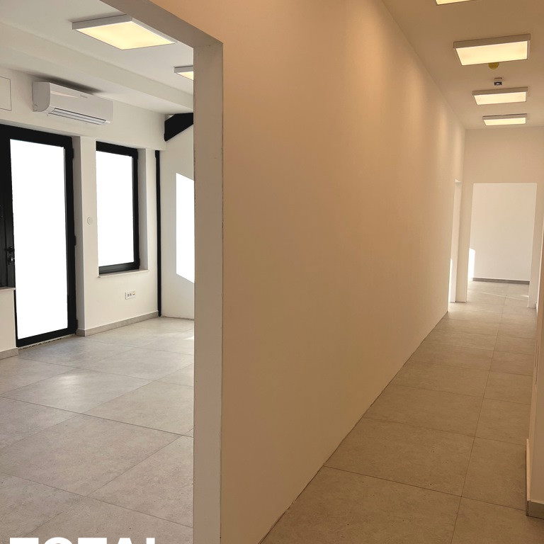 Lokal Izdavanje Novi Sad  584 m2
