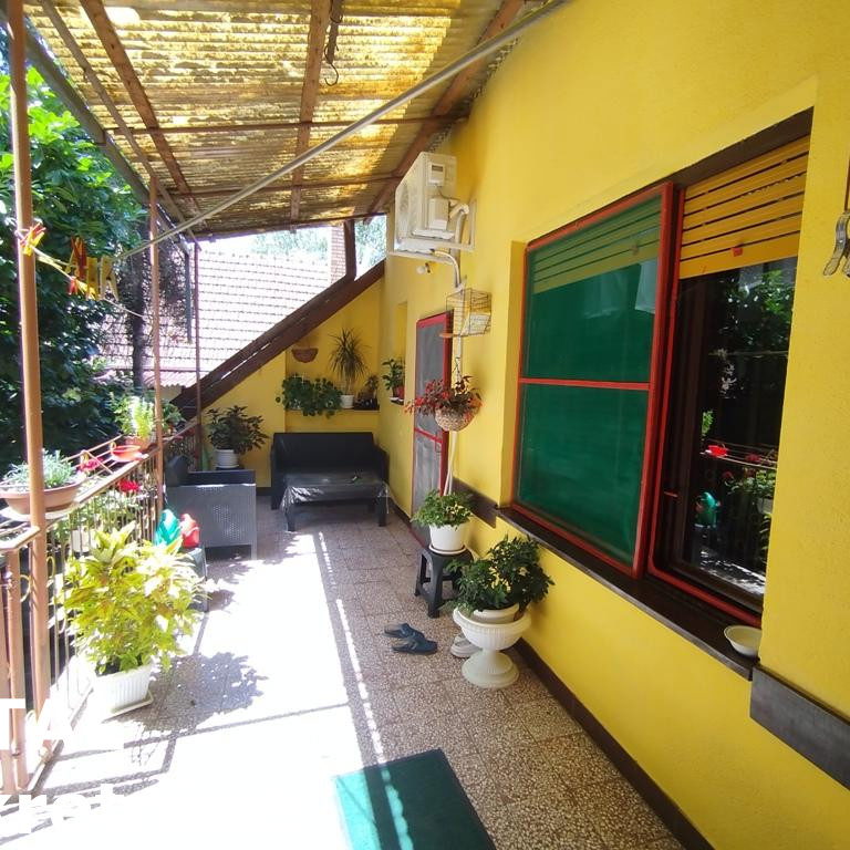 Kuća Prodaja Novi Sad  443 m2