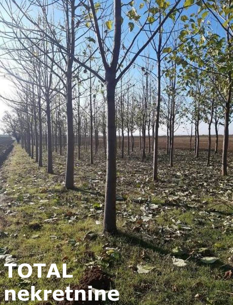 Kuća Prodaja Sremska Mitrovica  60 m2
