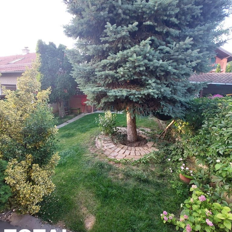 Kuća Prodaja Novi Sad  230 m2